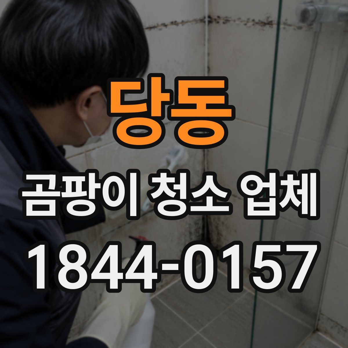 당동 곰팡이 청소 업체