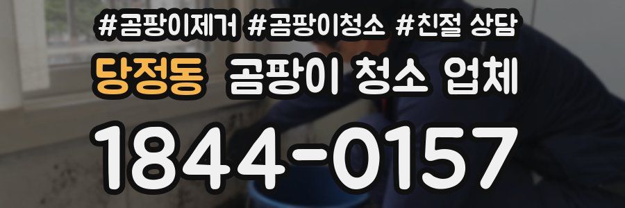 당정동 곰팡이 청소 업체