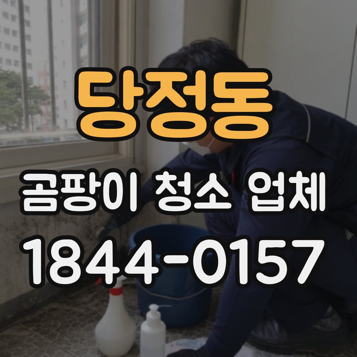당정동 곰팡이 청소 업체