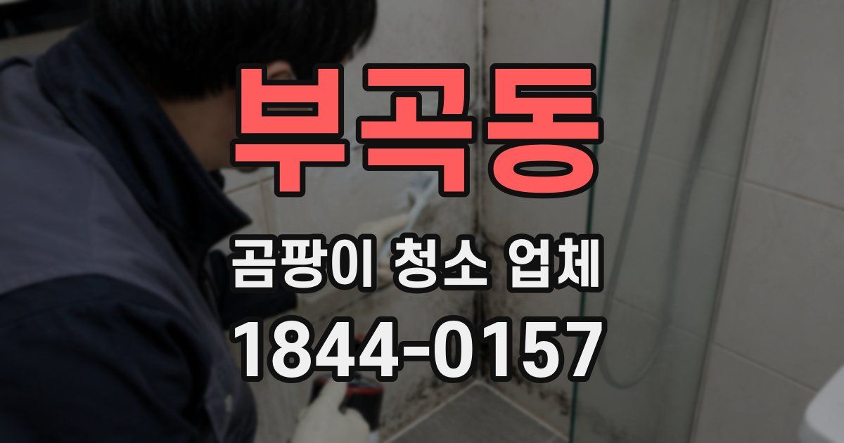 부곡동 곰팡이 청소 업체