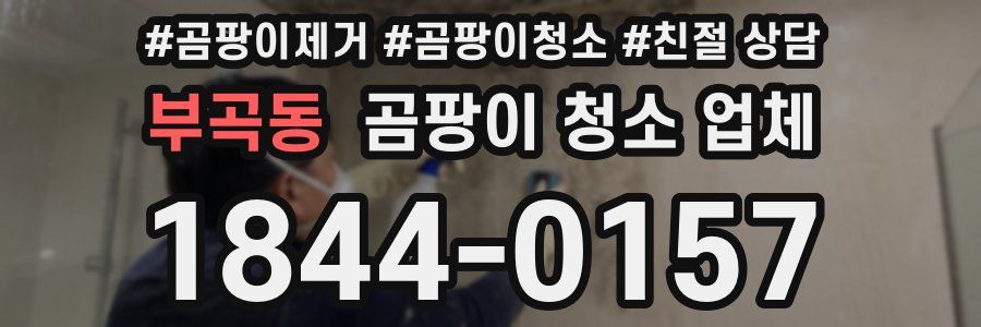 부곡동 곰팡이 청소 업체
