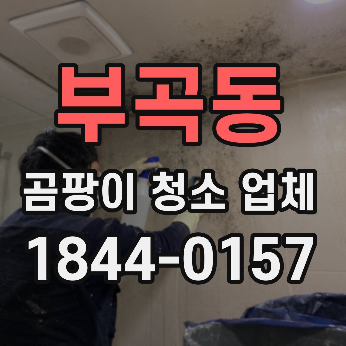 부곡동 곰팡이 청소 업체