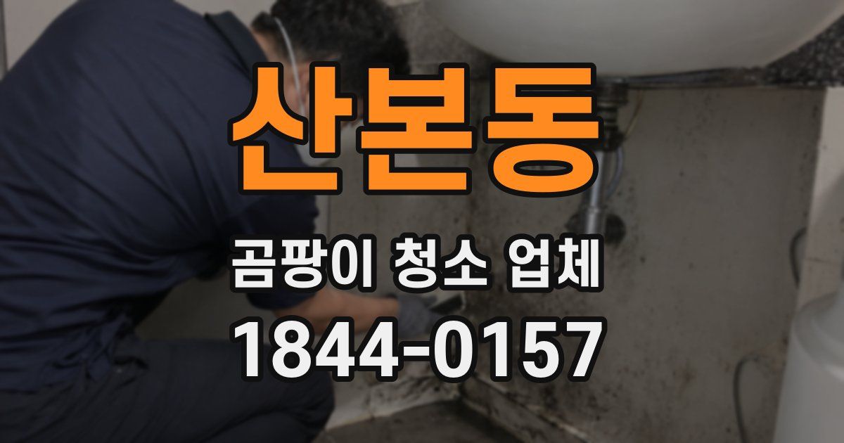 산본동 곰팡이 청소 업체