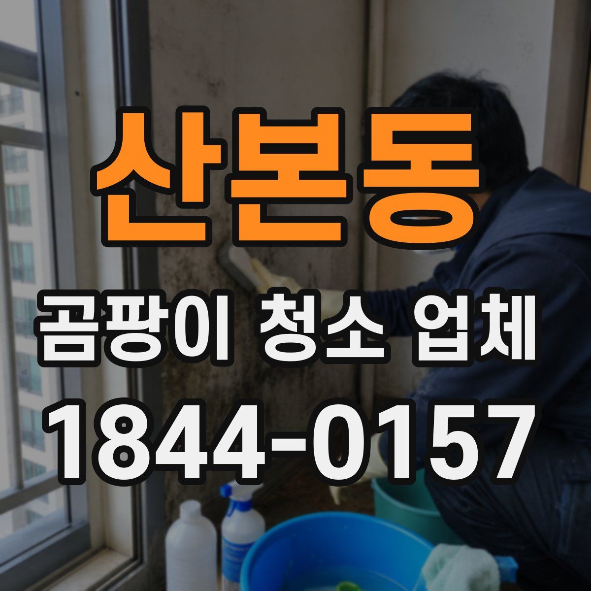 산본동 곰팡이 청소 업체