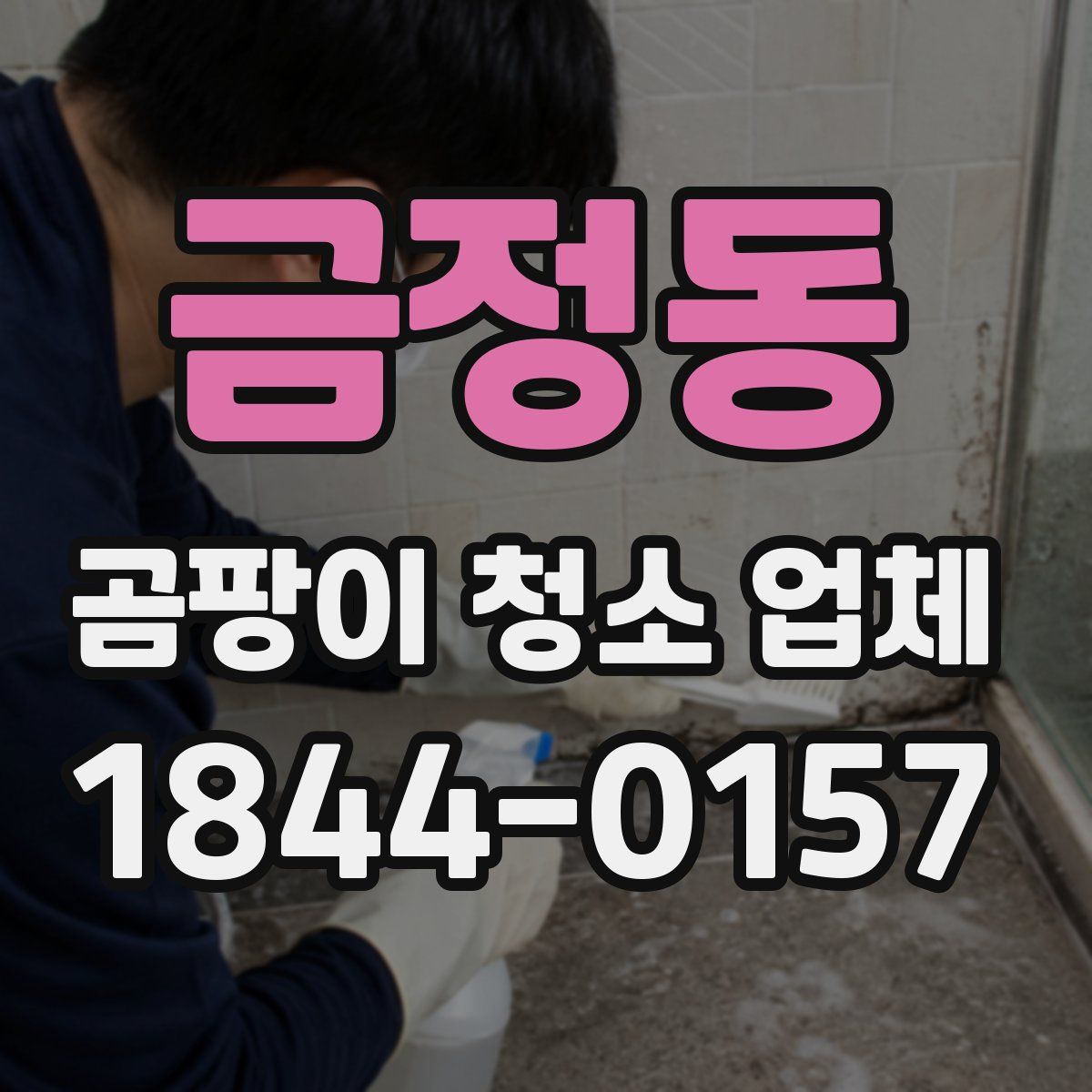 금정동 곰팡이 청소 업체