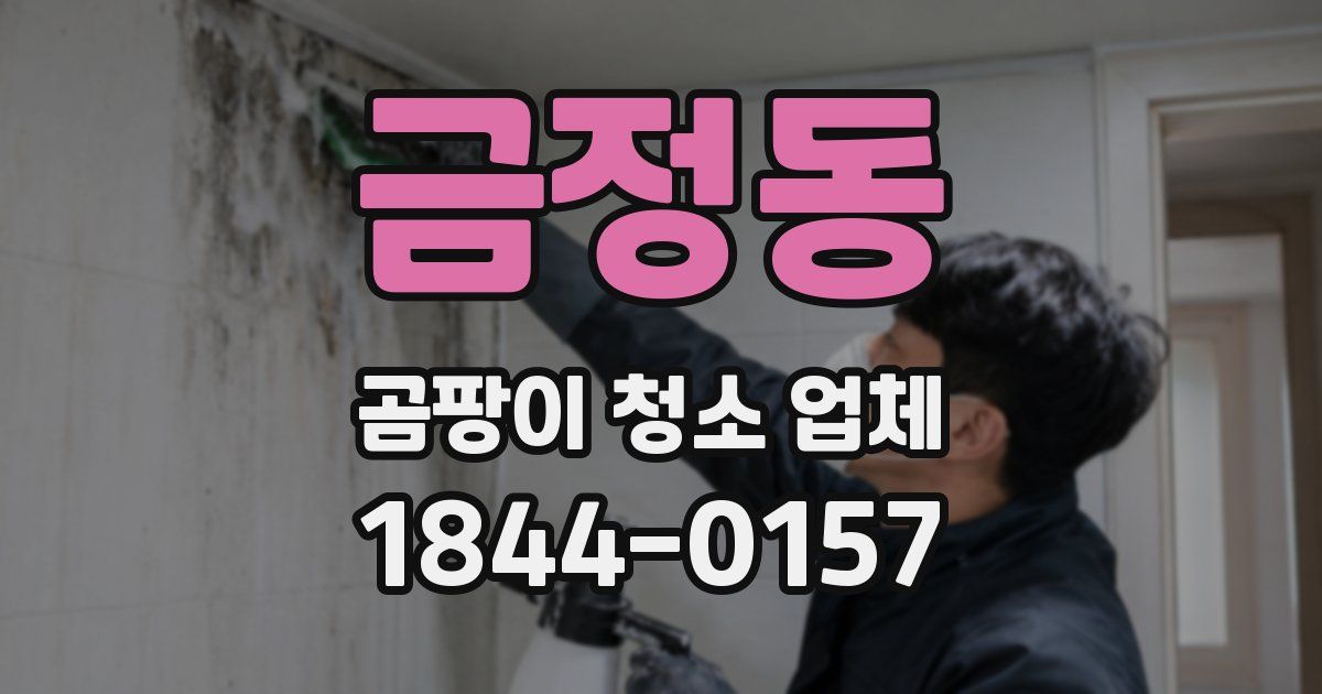 금정동 곰팡이 청소 업체