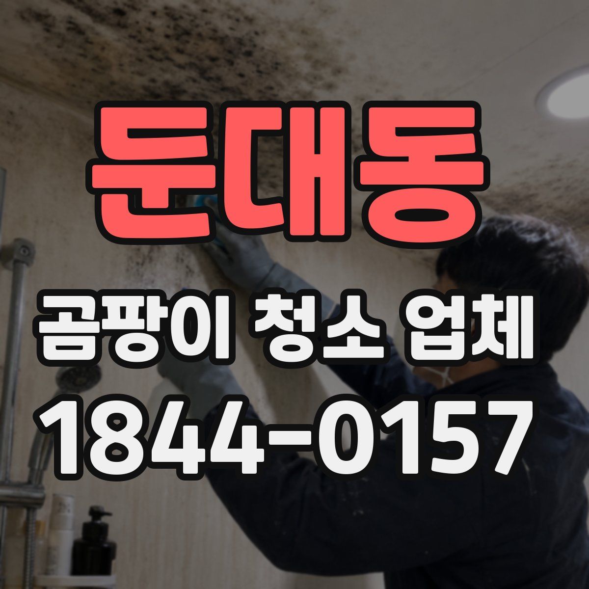 둔대동 곰팡이 청소 업체