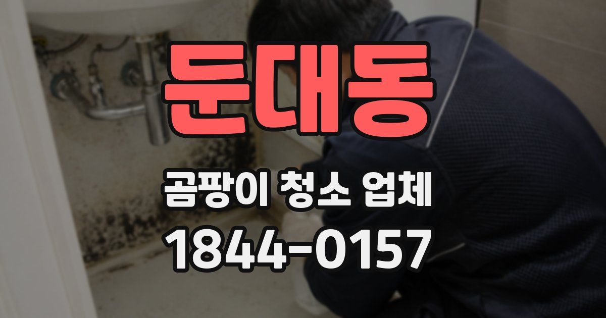 둔대동 곰팡이 청소 업체