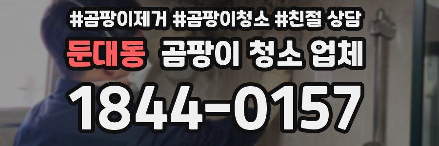 둔대동 곰팡이 청소 업체