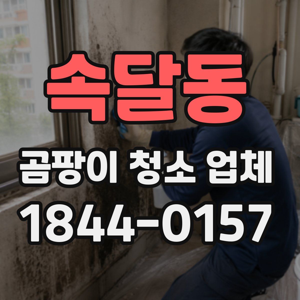 속달동 곰팡이 청소 업체