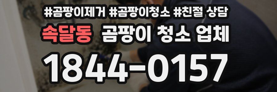 속달동 곰팡이 청소 업체