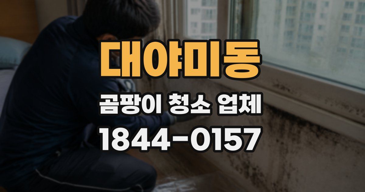 대야미동 곰팡이 청소 업체