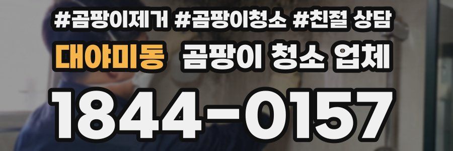 대야미동 곰팡이 청소 업체