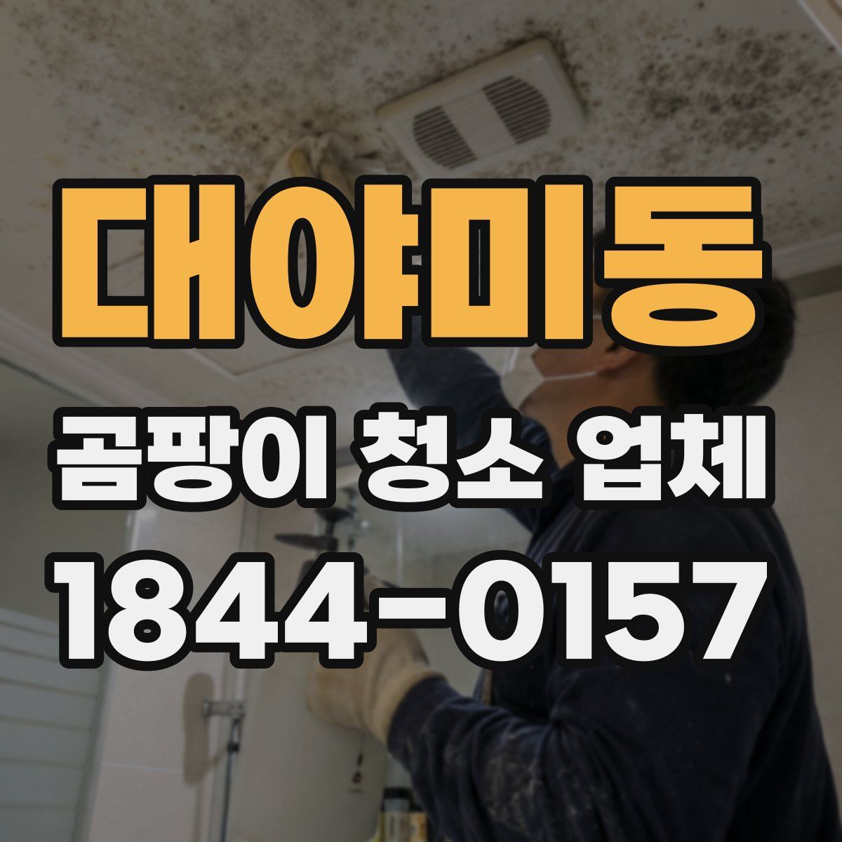 대야미동 곰팡이 청소 업체