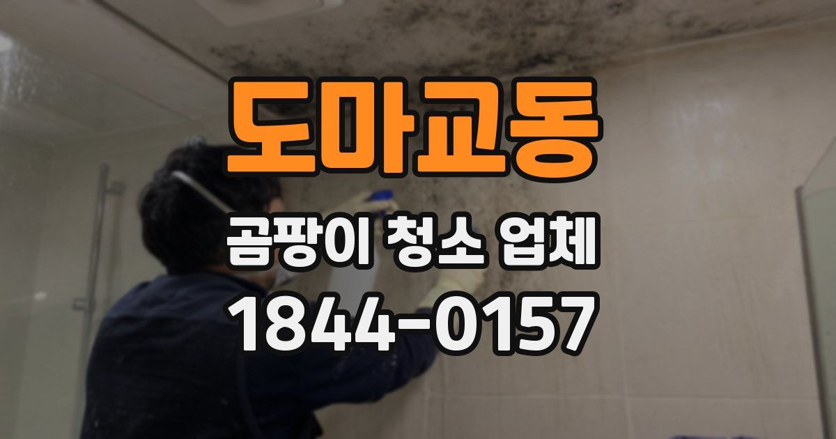도마교동 곰팡이 청소 업체