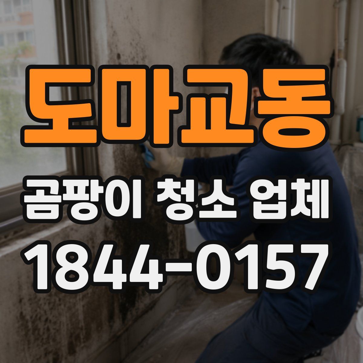 도마교동 곰팡이 청소 업체