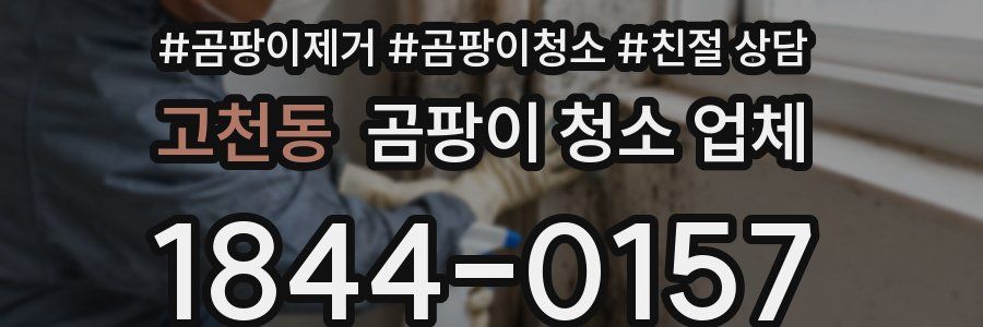 고천동 곰팡이 청소 업체