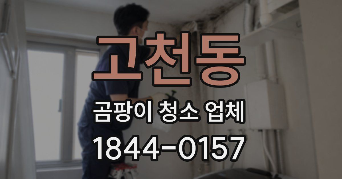 고천동 곰팡이 청소 업체
