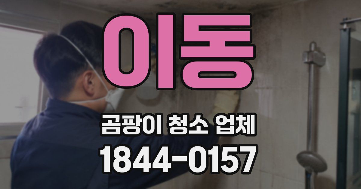이동 곰팡이 청소 업체
