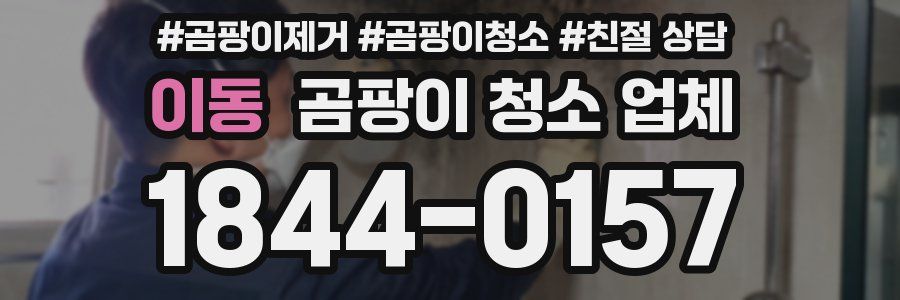 이동 곰팡이 청소 업체