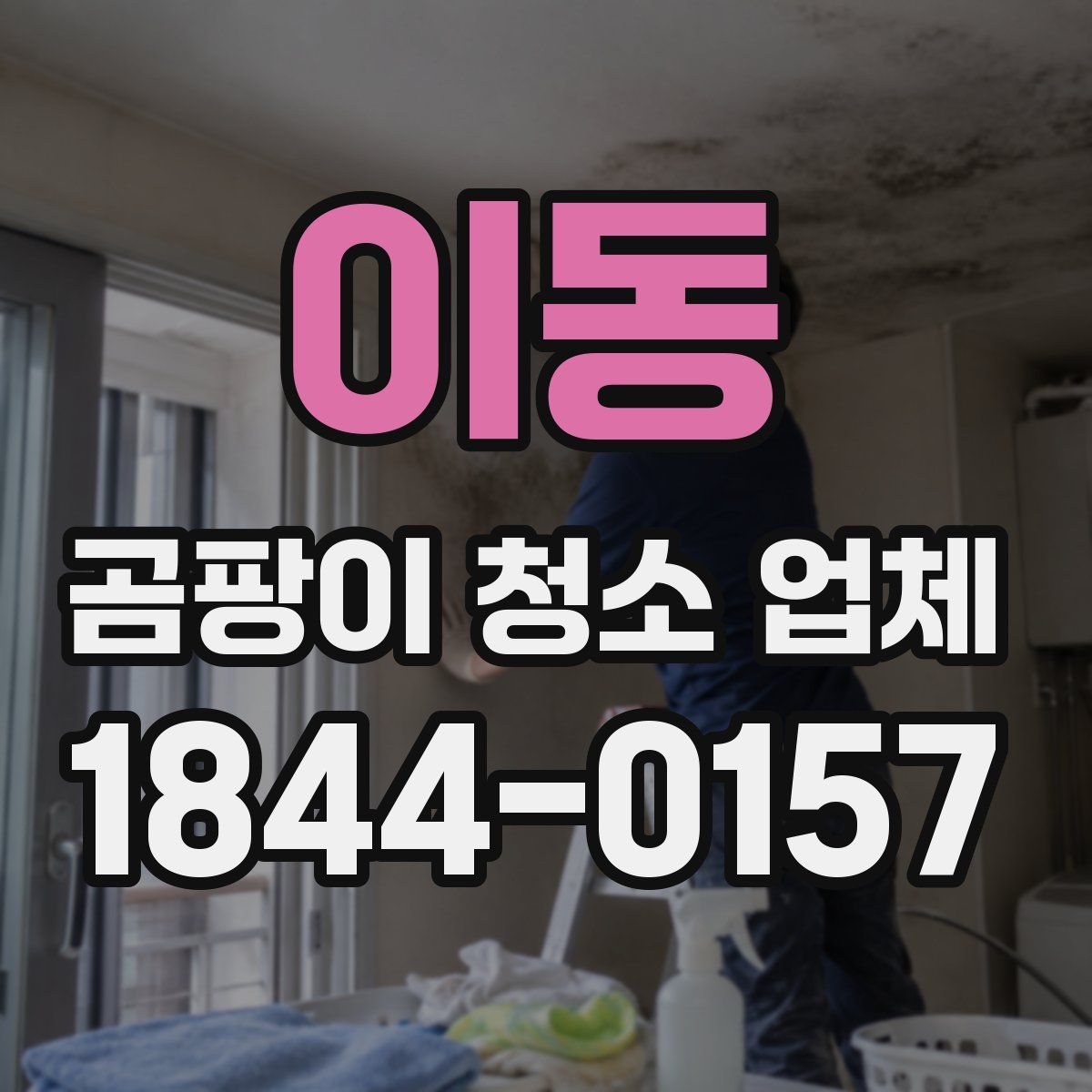 이동 곰팡이 청소 업체