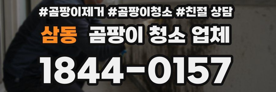 삼동 곰팡이 청소 업체
