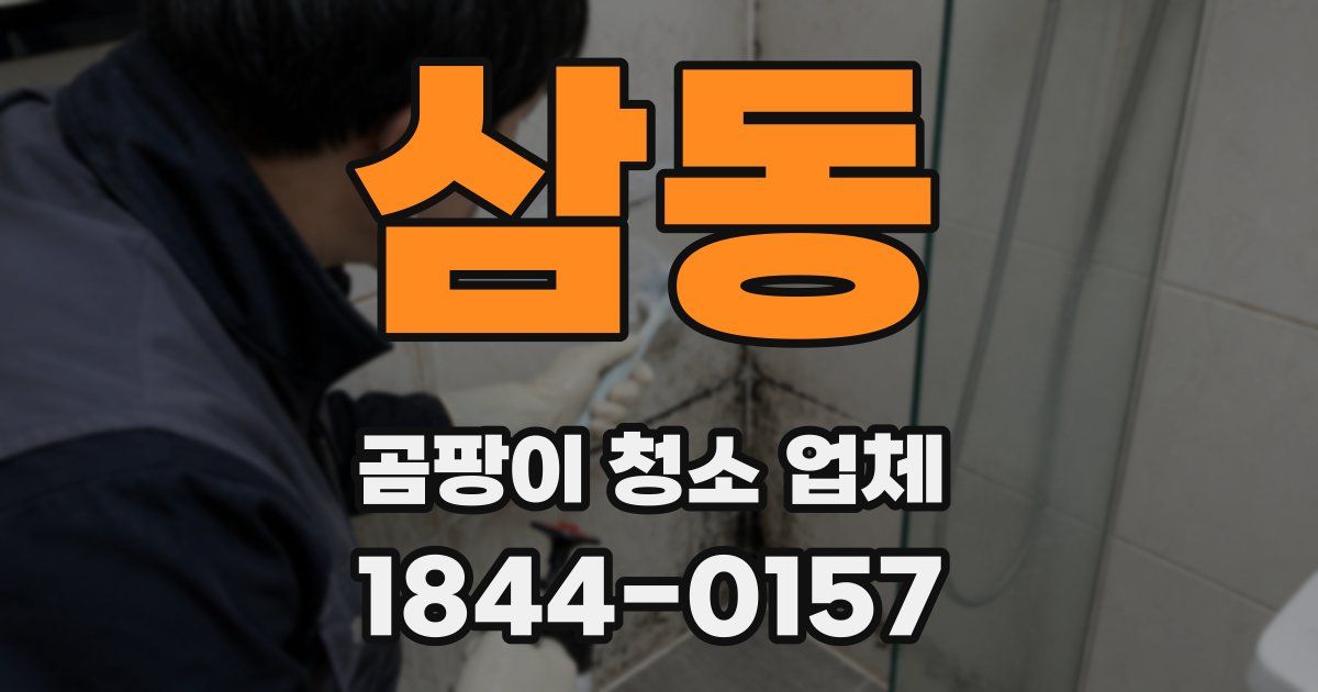 삼동 곰팡이 청소 업체