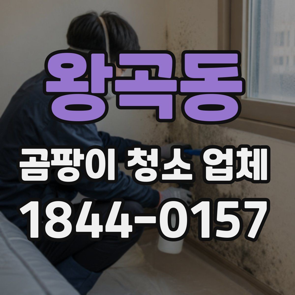 왕곡동 곰팡이 청소 업체 상담에서 놓치기 쉬운 질문