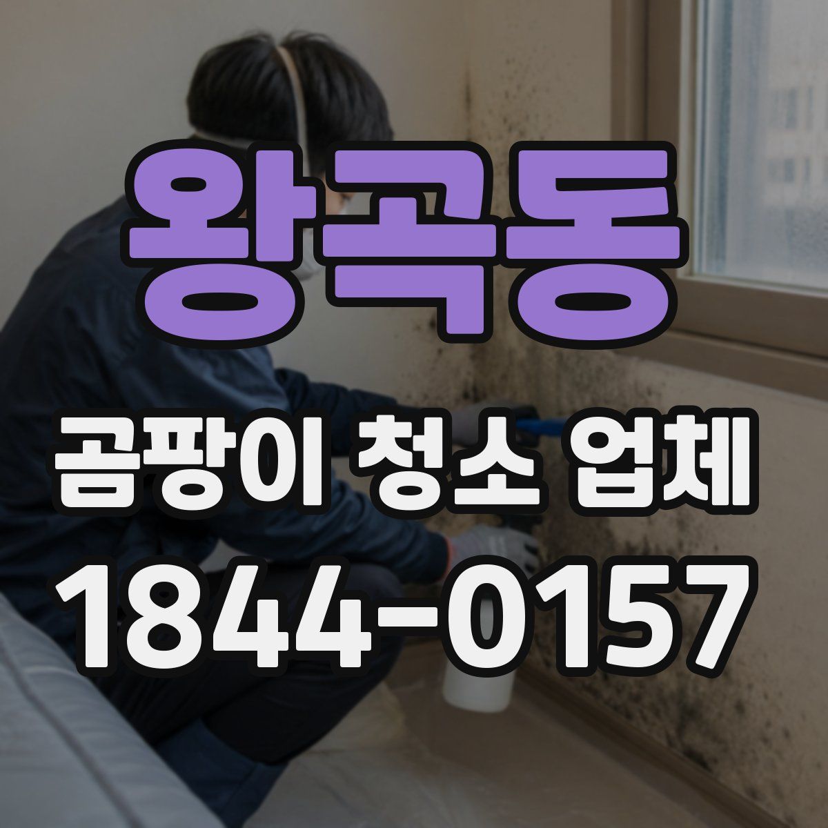 왕곡동 곰팡이 청소 업체