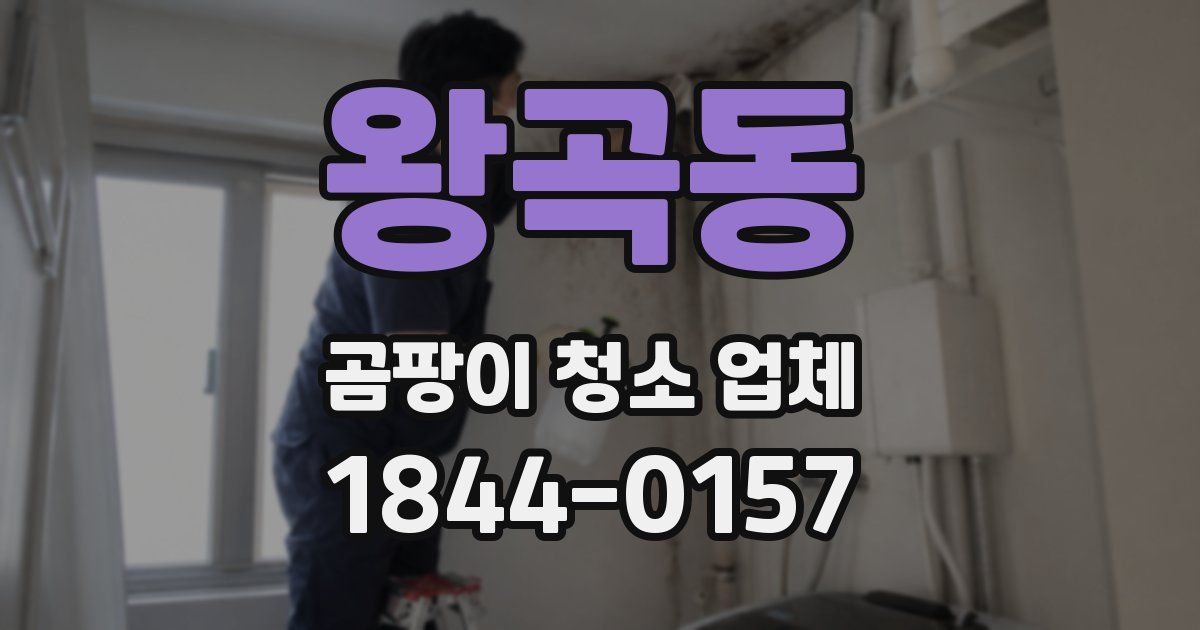 왕곡동 곰팡이 청소 업체
