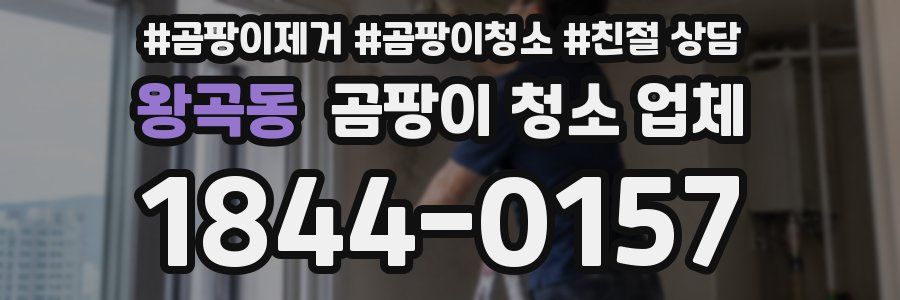 왕곡동 곰팡이 청소 업체