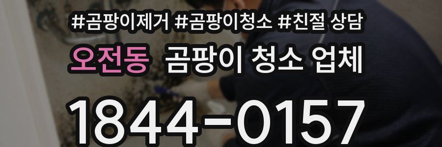 오전동 곰팡이 청소 업체