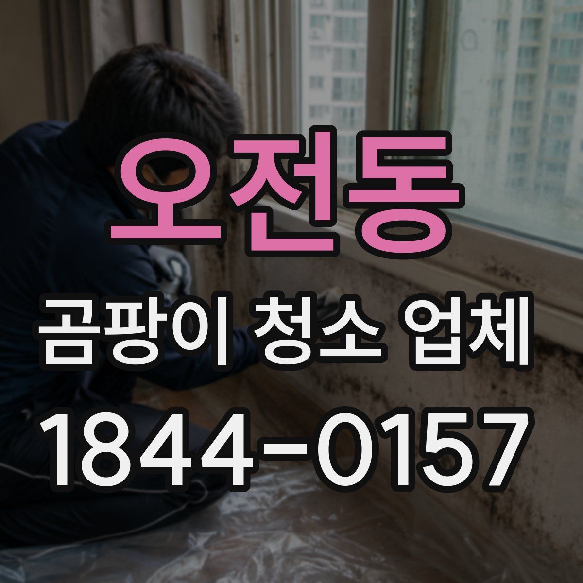 오전동 곰팡이 청소 업체