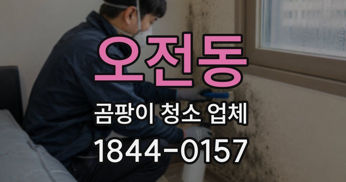 오전동 곰팡이 청소 업체