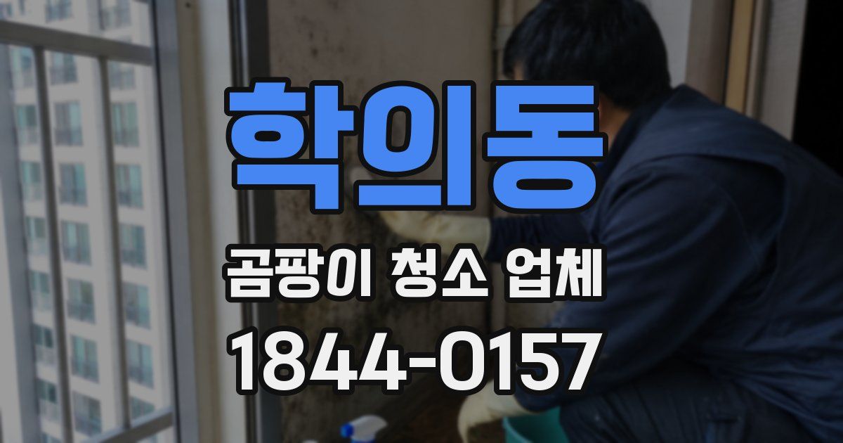 학의동 곰팡이 청소 업체