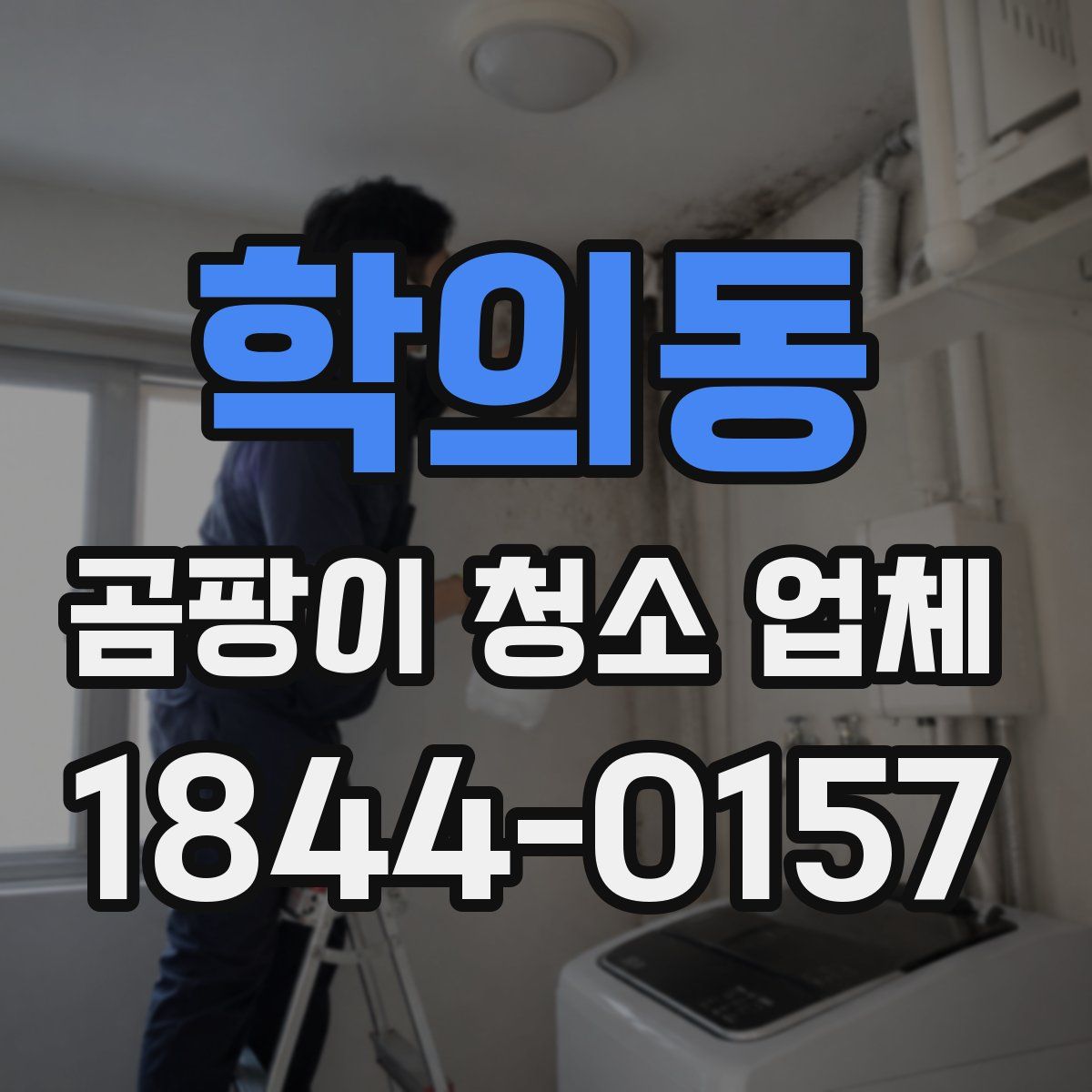 학의동 곰팡이 청소 업체
