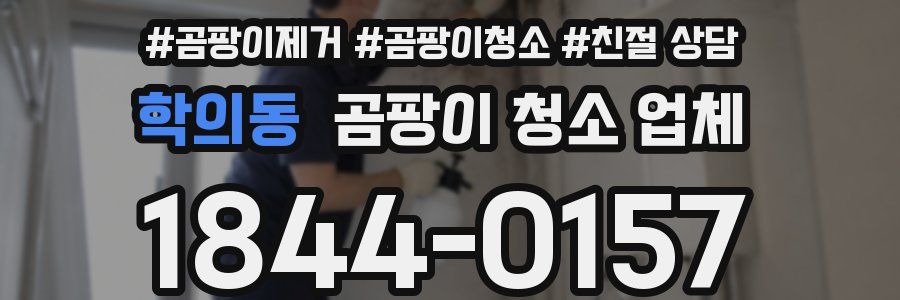 학의동 곰팡이 청소 업체