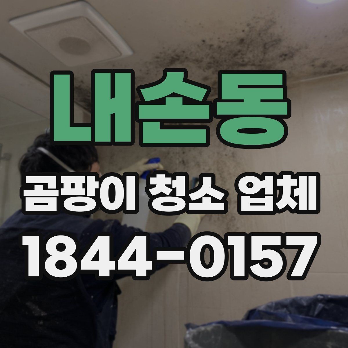 내손동 곰팡이 청소 업체 선택 시 놓치기 쉬운 후기 해석