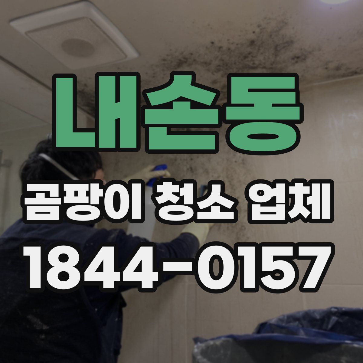 내손동 곰팡이 청소 업체