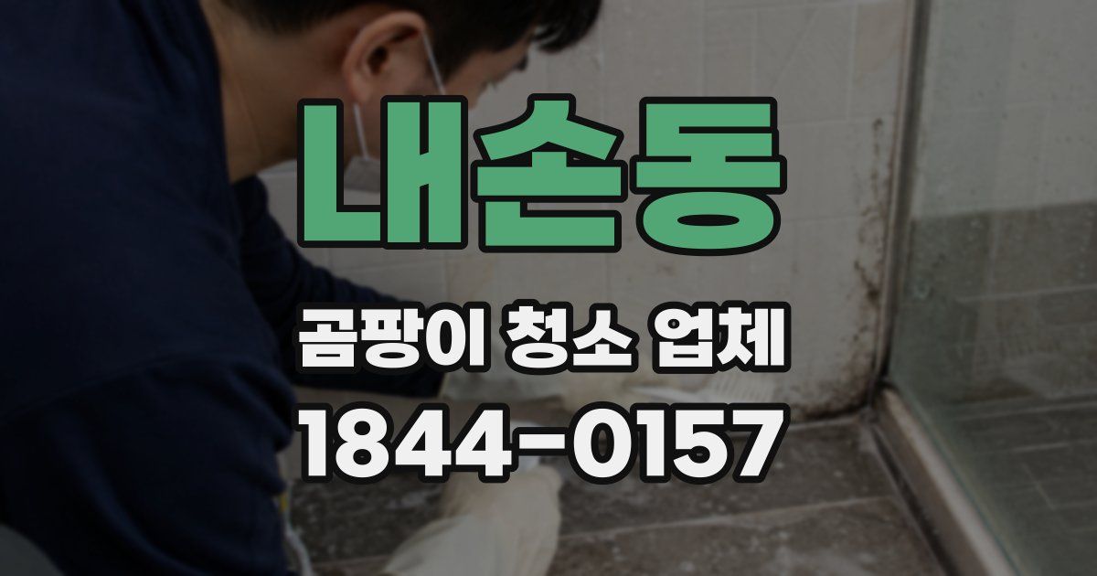 내손동 곰팡이 청소 업체