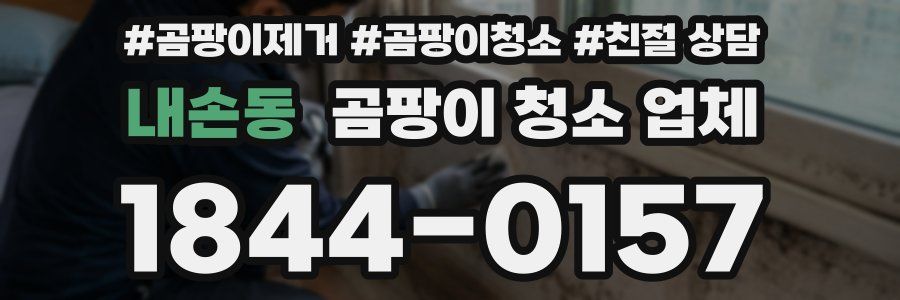 내손동 곰팡이 청소 업체