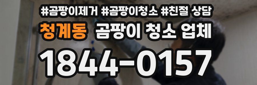 청계동 곰팡이 청소 업체