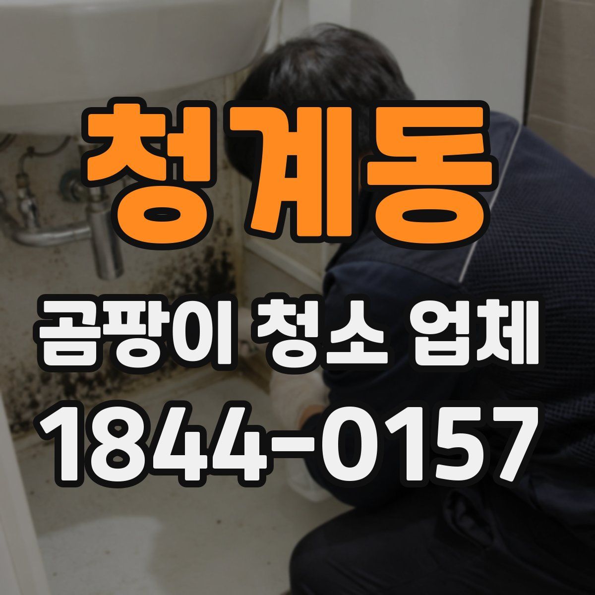 청계동 곰팡이 청소 업체