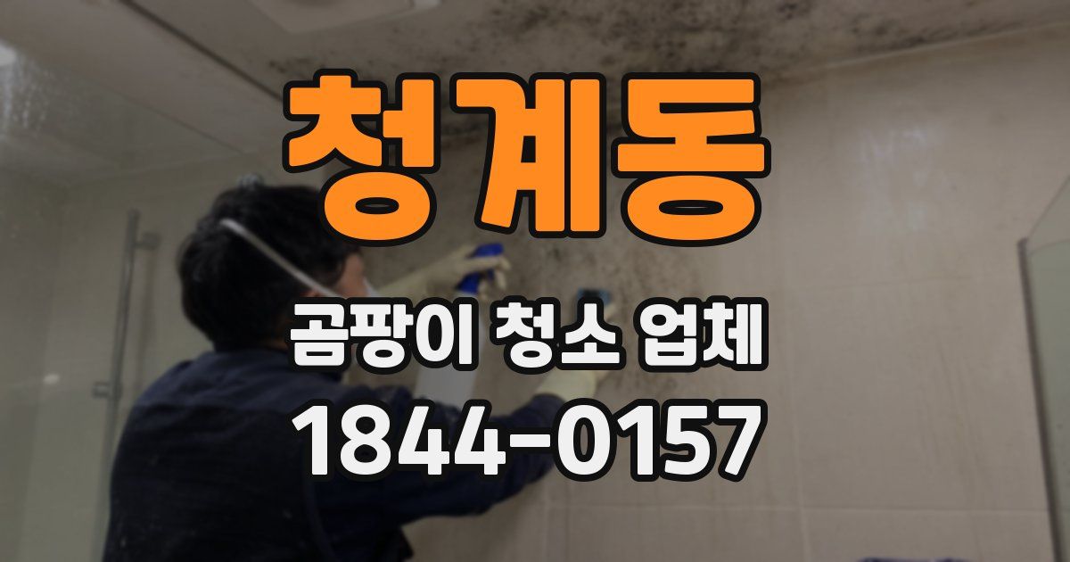 청계동 곰팡이 청소 업체