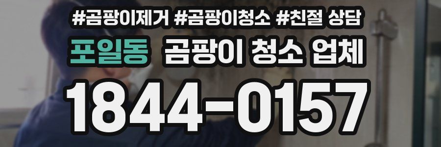 포일동 곰팡이 청소 업체