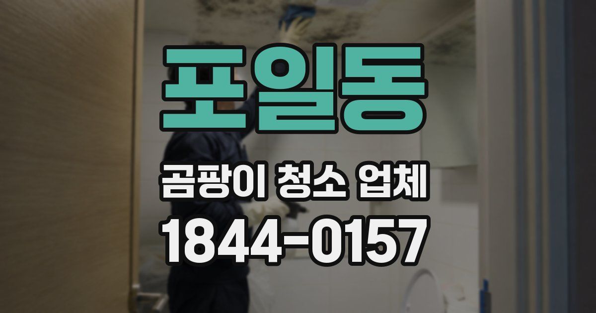 포일동 곰팡이 청소 업체