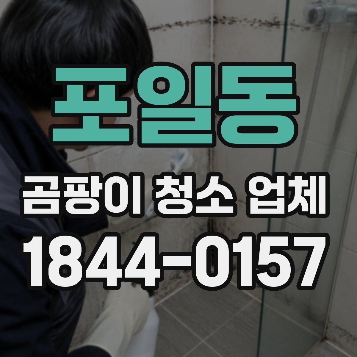 포일동 곰팡이 청소 업체