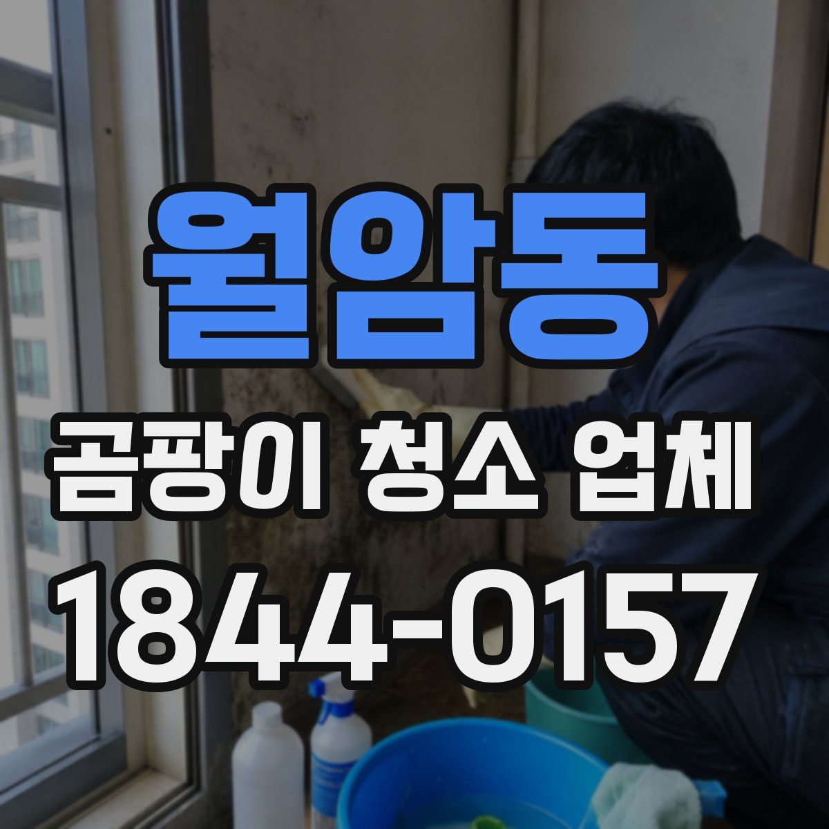 월암동 곰팡이 청소 업체