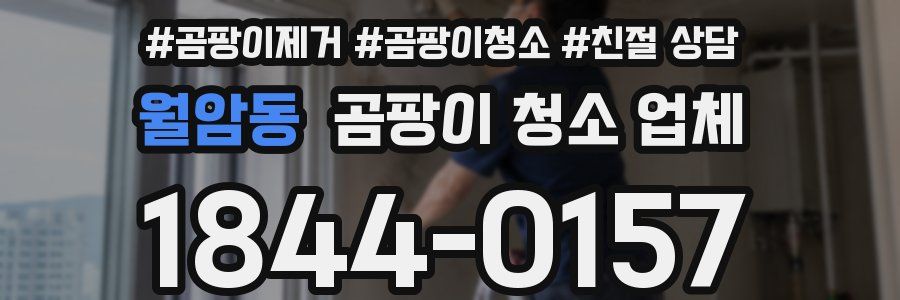 월암동 곰팡이 청소 업체