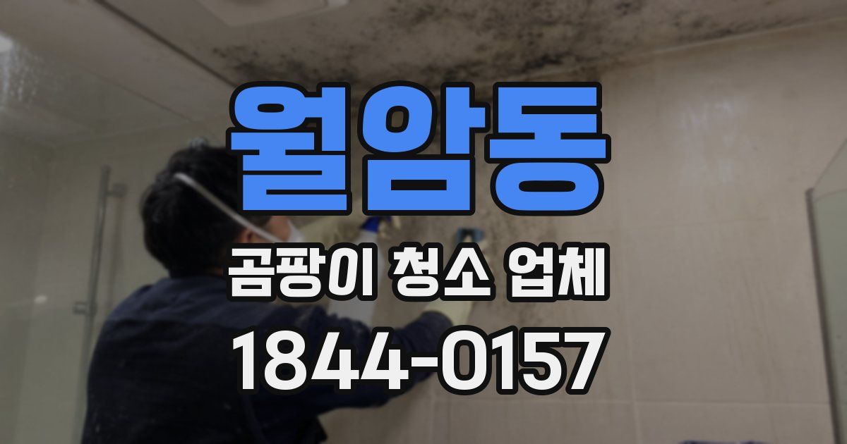 월암동 곰팡이 청소 업체